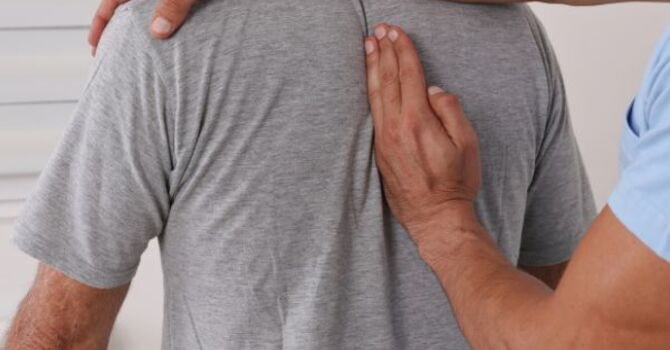 New Year, New Spine image